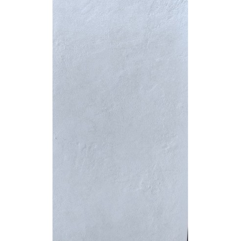 25x60 VIVO BIANCO