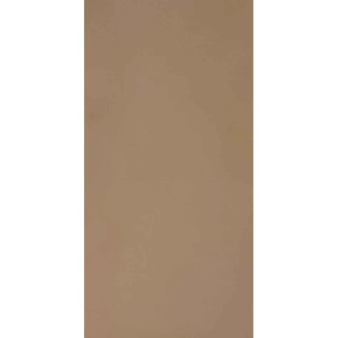 60x120 011900036 REVOLUTION TERRA...