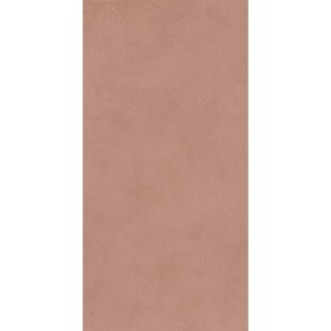 ALTER EGO COTTO NAT R 60X 2