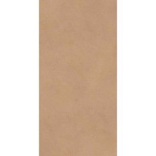 ALTER EGO MOU NAT. RET 2