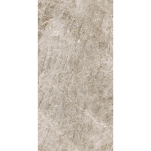 60X120 ICONIC YAMUNA OPAL... 2