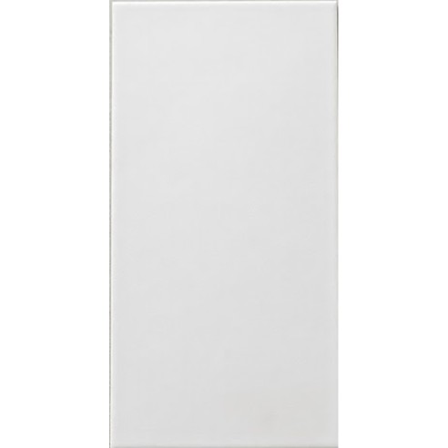 20X40 WHITE MATT