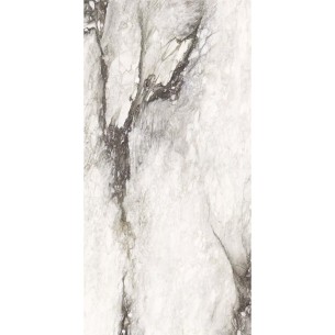 60X120 ETOILE RENOIR GLOSSY 2