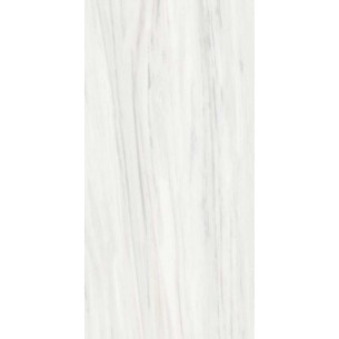 60x120 769861 REX LEV. 2