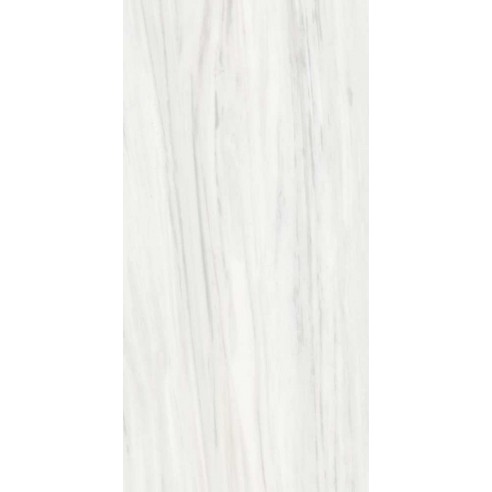 60x120 769861 REX LEV.