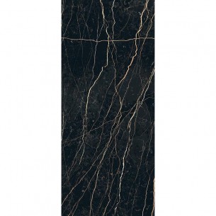 120x280 757740 REX THUNDER...