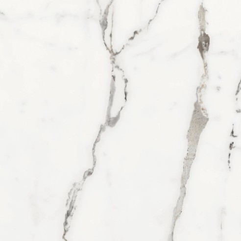 60x60 769838 FLORIM LES ORIGINES DE...