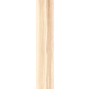 20x120 DUCALE IVORY RETT.... 2