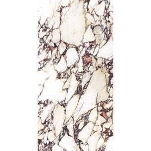 60x120 5055 CALACATTA VIOLA... 2