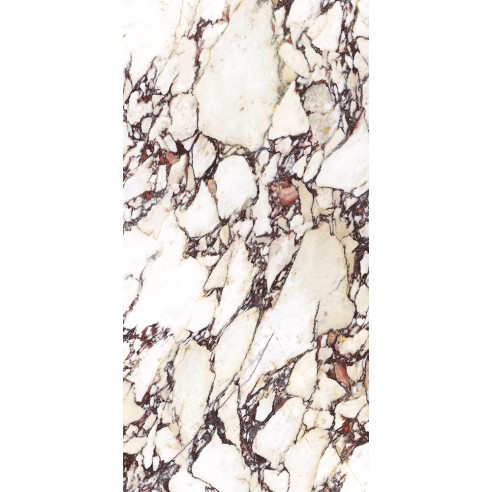60x120 5055 CALACATTA VIOLA LEV.