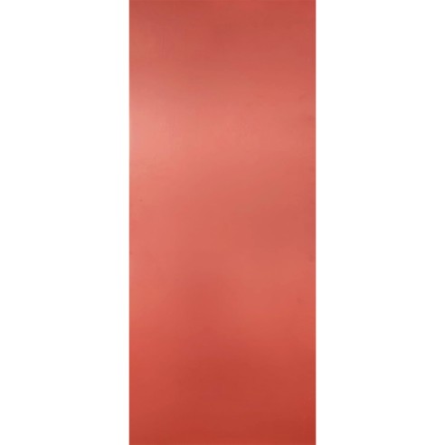 31,2X79,7 0117577 CORAL RETT.