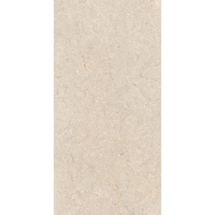 60x120 0010538 PTR. STONE... 2