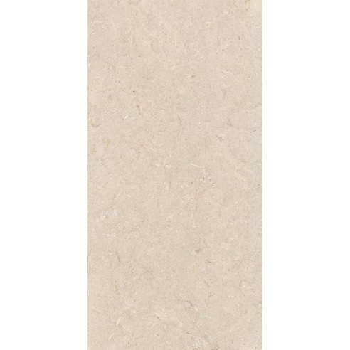 60x120 0010538 PTR. STONE TRA. BEIGE...