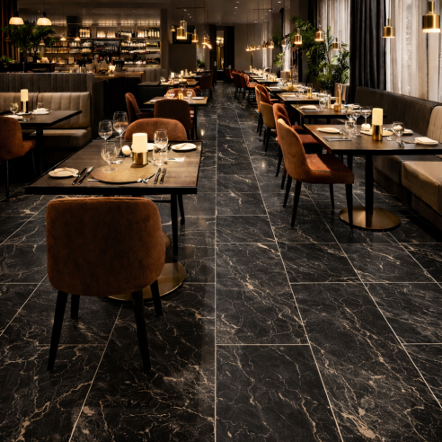 60x120 755838 PREXIOUS REX THUNDER...