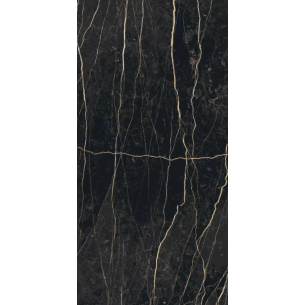 60x120 755838 PREXIOUS REX... 2