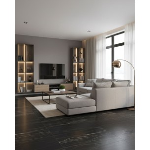 60x120 755838 PREXIOUS REX...