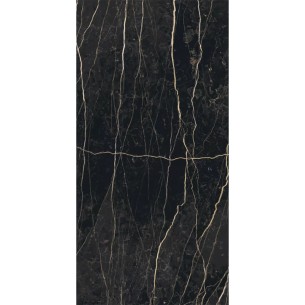 60x120 755838 PREXIOUS REX... 2