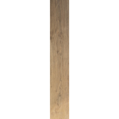 20x120 ABG0GW251 COTTO D. - OAK GOLD RTT