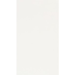 25x40 WC000A BIANCO CLA LUCIDO 2