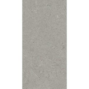 30x60 APGSD20 SHAPE NAT RETT 2